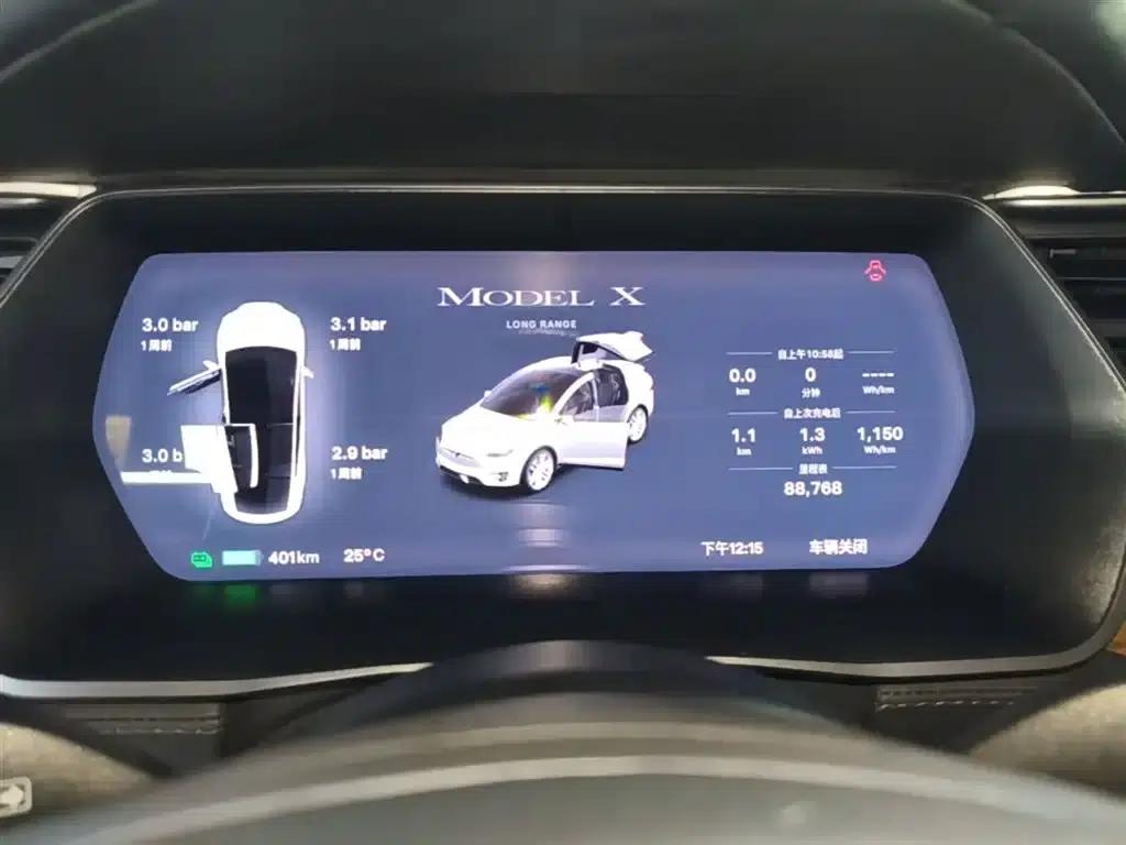 Model X 2019 Long Range — миниатюра 12