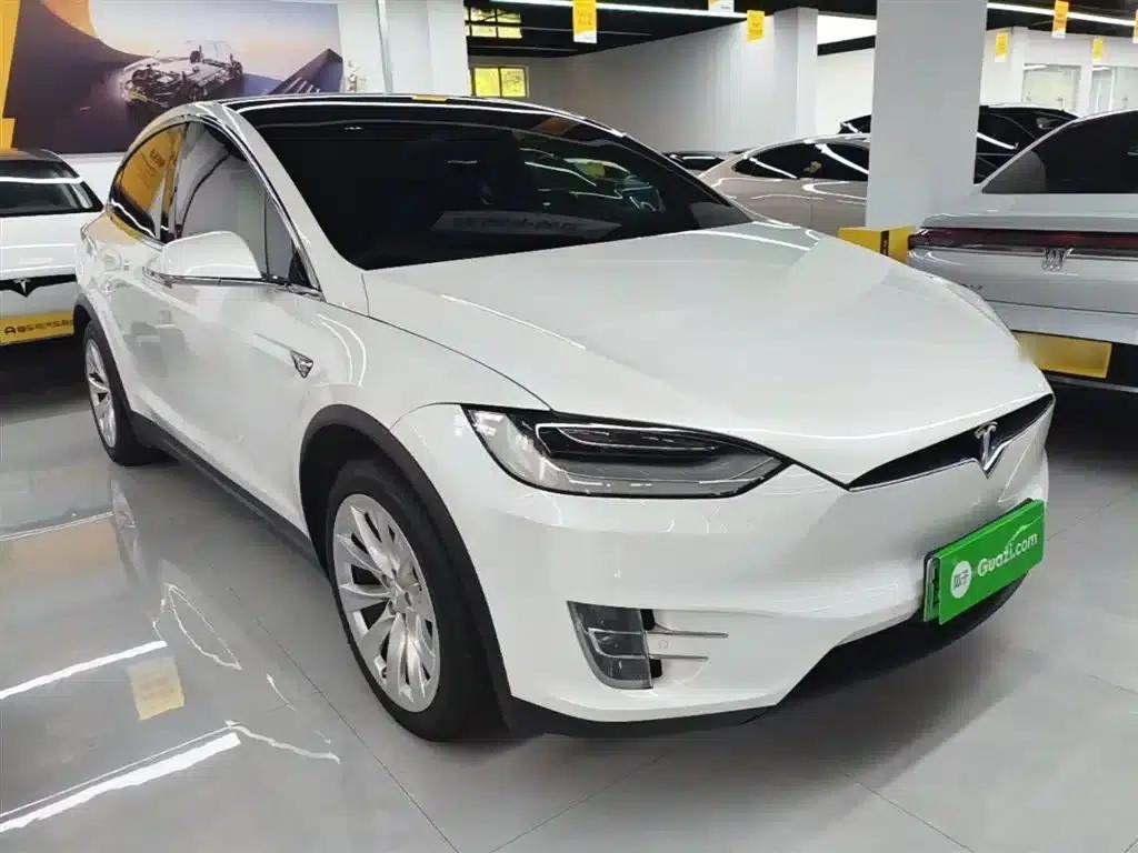 Model X 2019 Long Range — миниатюра 4