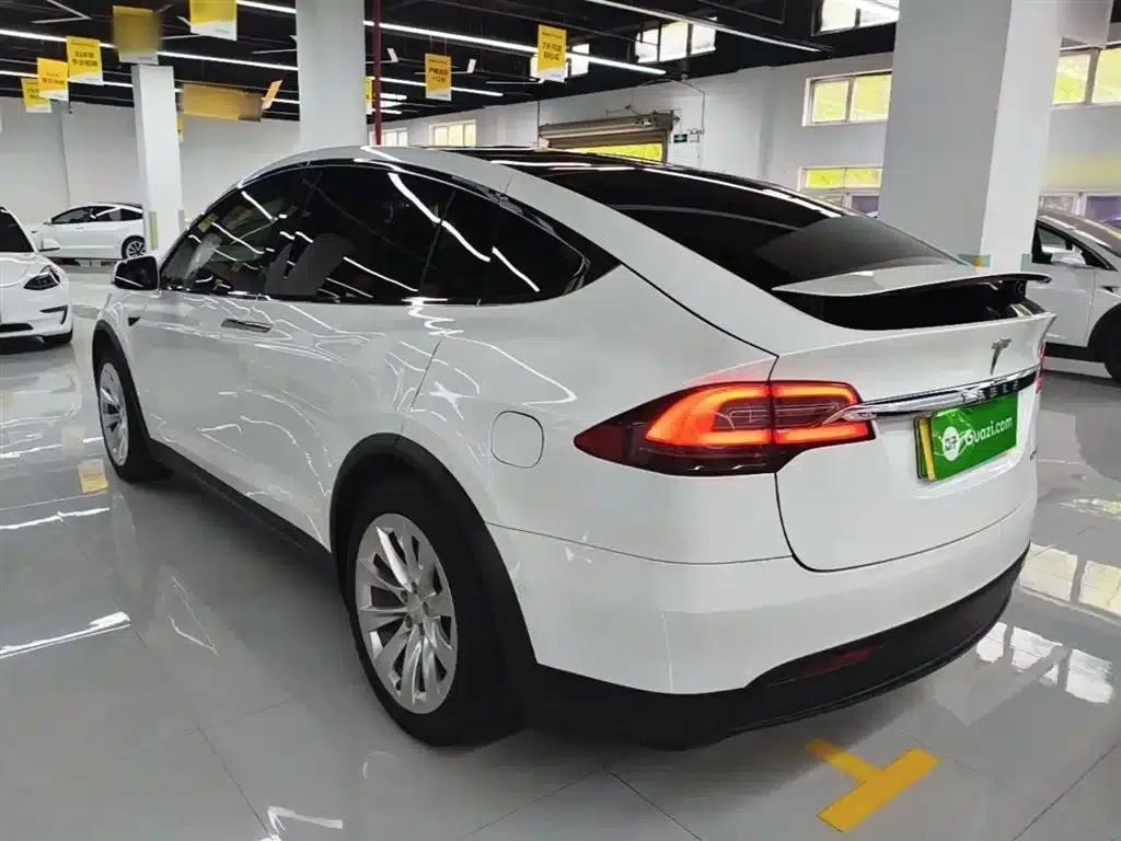 Model X 2019 Long Range — миниатюра 5