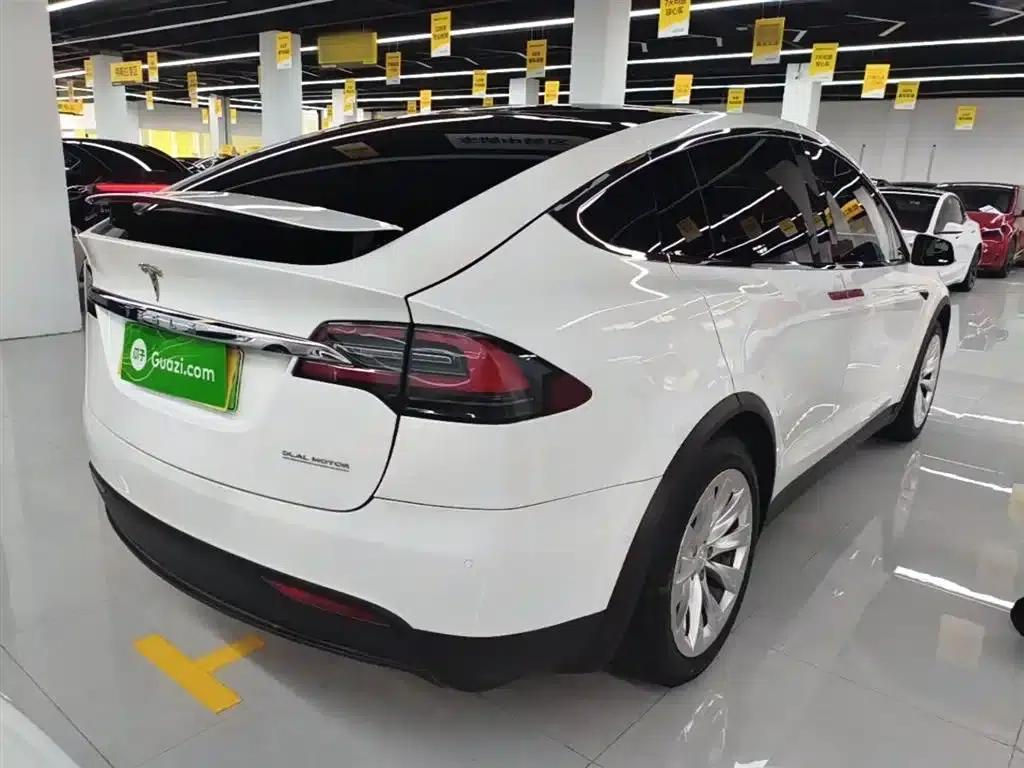 Model X 2019 Long Range — миниатюра 7