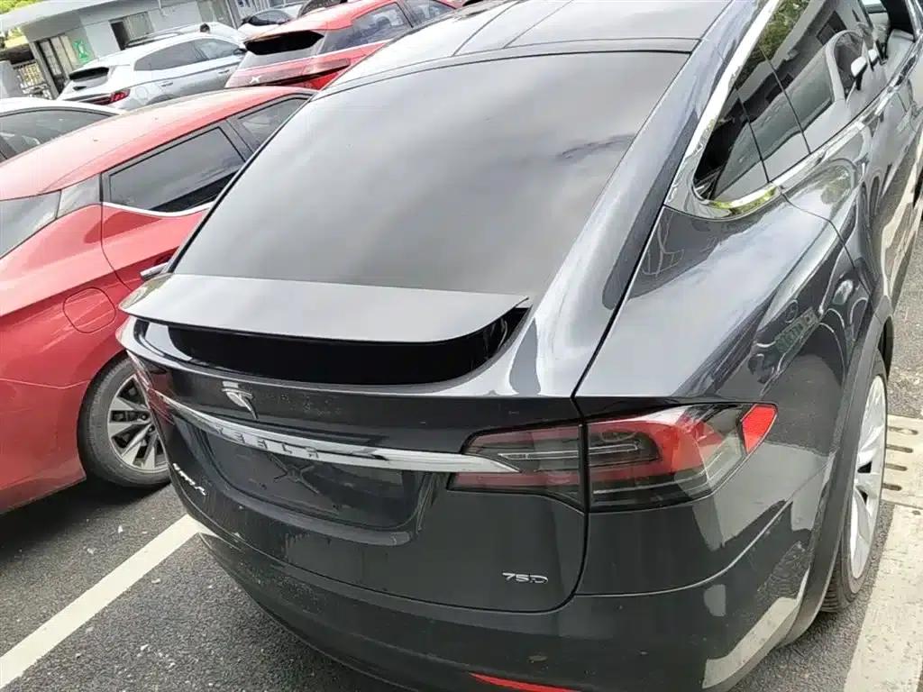 2016 Model X 75D — миниатюра 6