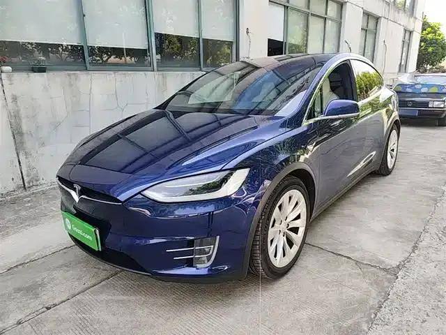 2017 Model X 100D Long Range