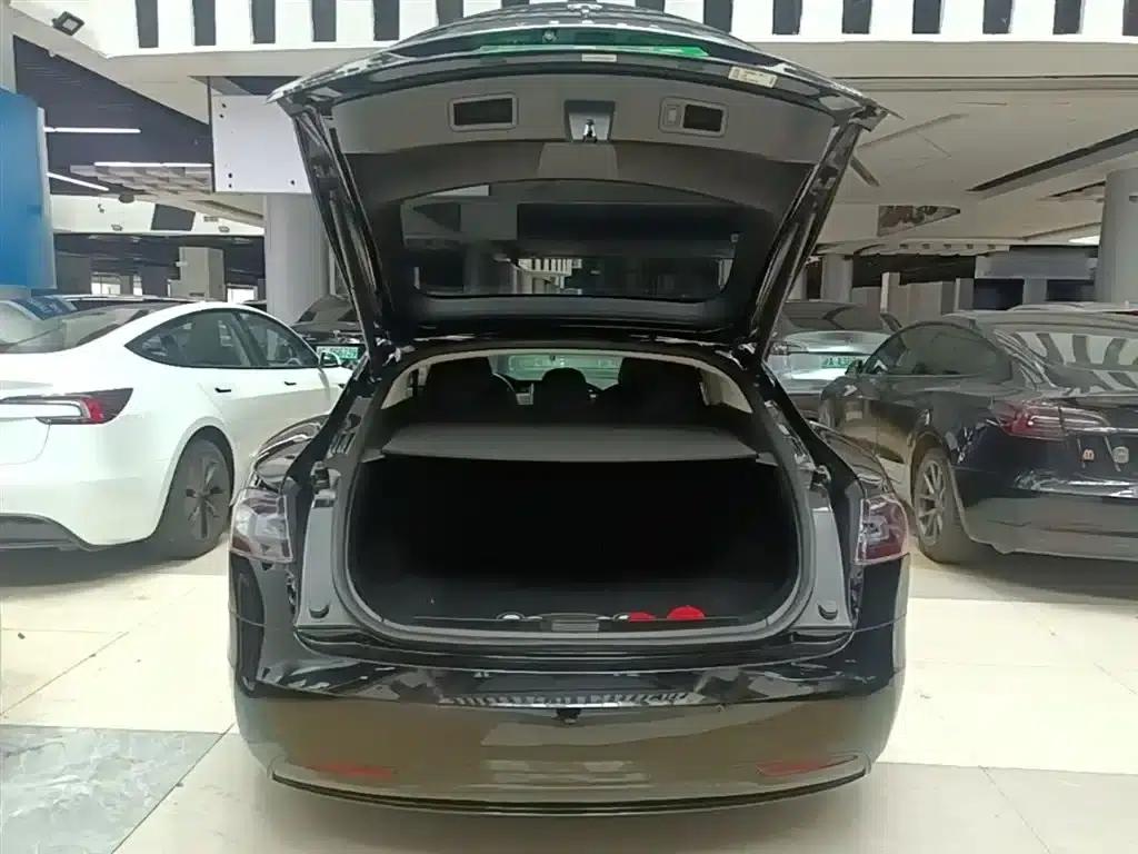 2017 Model S 100D — миниатюра 19