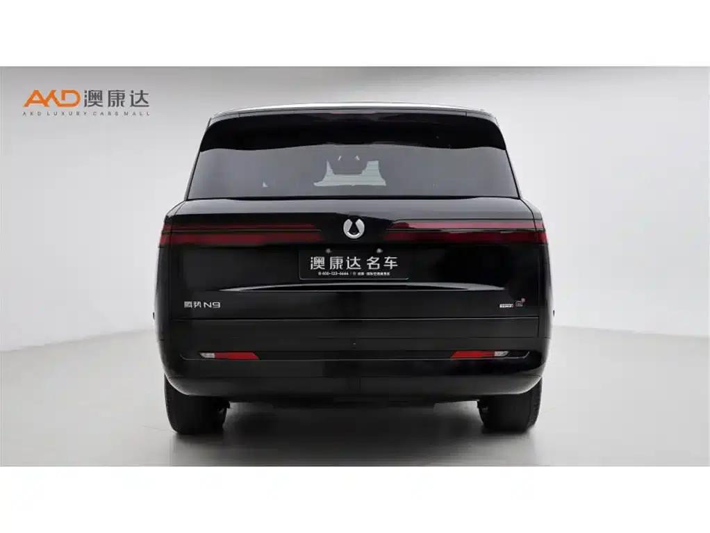 Denza N9/2.0T/2025/Premium — миниатюра 4
