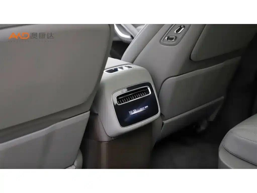 Denza N9/2.0T/2025/Premium — миниатюра 10