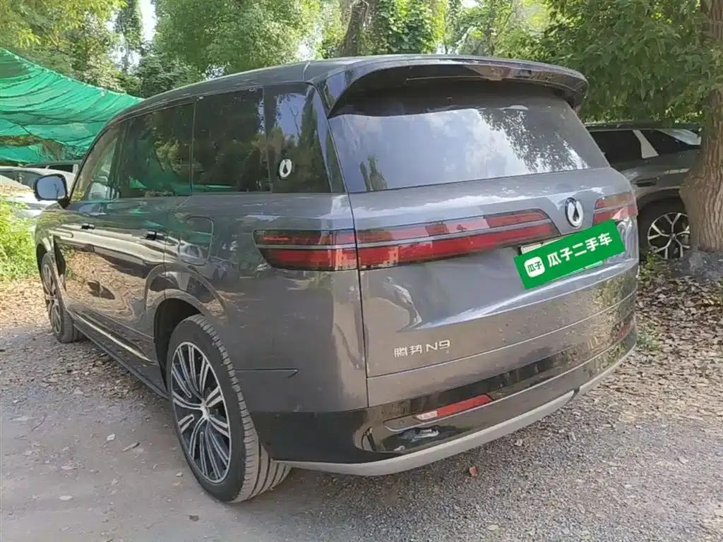 Denza N9 2025 Flagship Edition — миниатюра 5