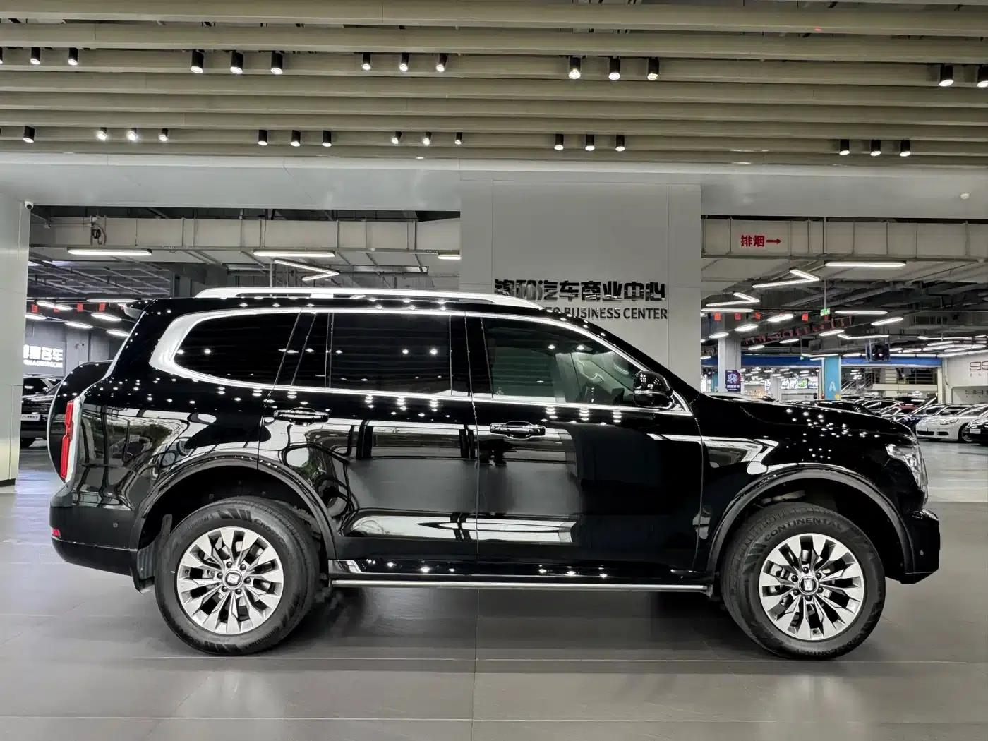 Tank 500 2023 3.0T Sport Edition (5-seater) — миниатюра 4