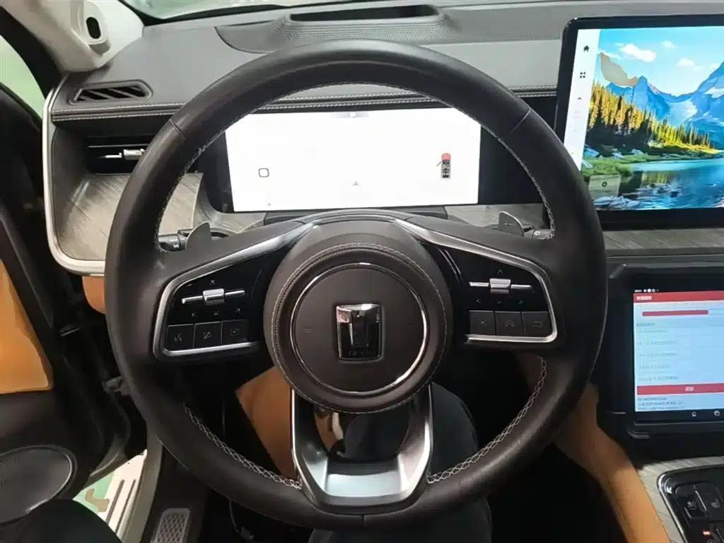 Tank 500 2022 3.0T Business Edition, 5-seater — миниатюра 11