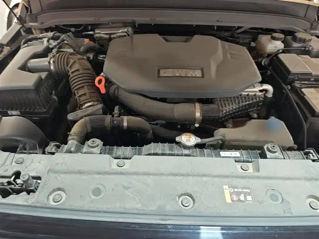 Tank 300 New Energy 2025 Hi4-T 37.1kWh — миниатюра 20
