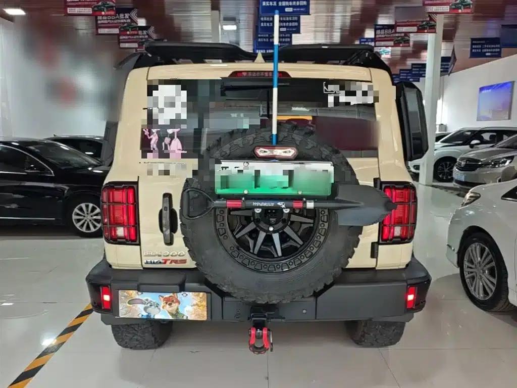 Tank 300 New Energy 2025 Hi4-T 37.1kWh — миниатюра 6