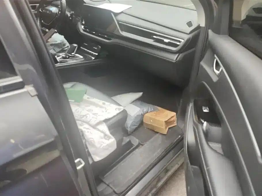 Wuling Capgemini 2020 1.5T CVT Flagship Edition — миниатюра 8