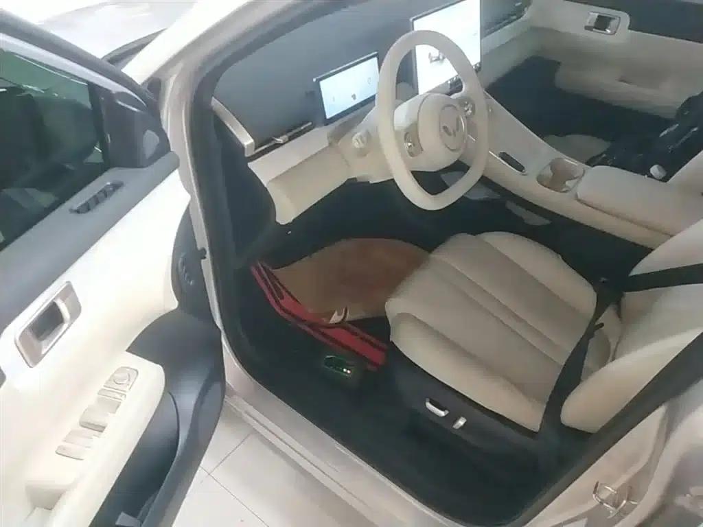 Wuling Xingguang S 2024 Model 130km Flagship Edition — миниатюра 16
