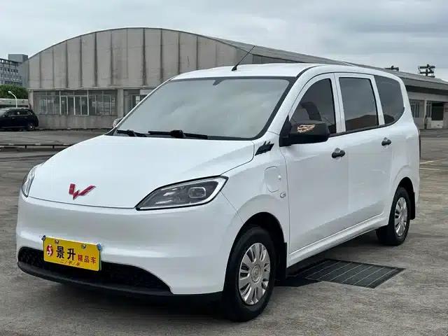 Wuling Hongguang New Energy 2024 Pure Electric Version 300KM Standard Edition