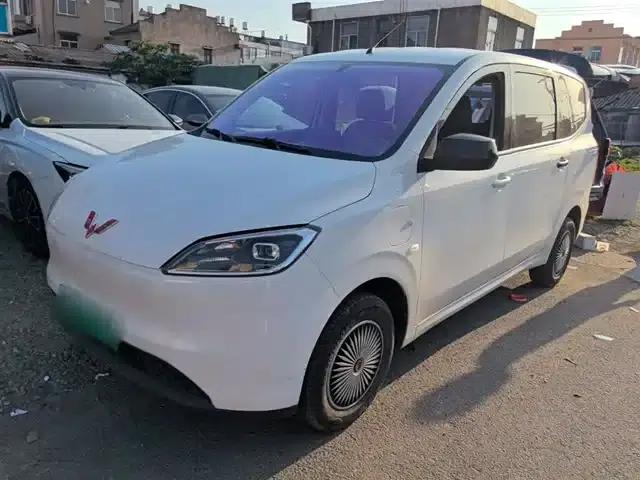 Wuling Hongguang New Energy 2024 Pure Electric Version 300KM Standard Edition