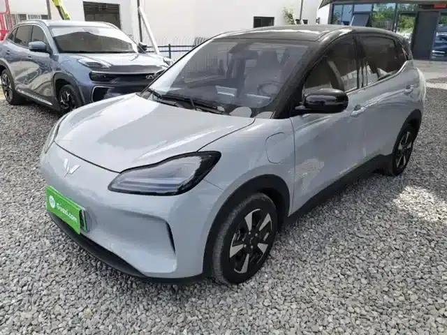 Wuling Bingo PLUS 2024 510km Flagship Edition Four-Seater