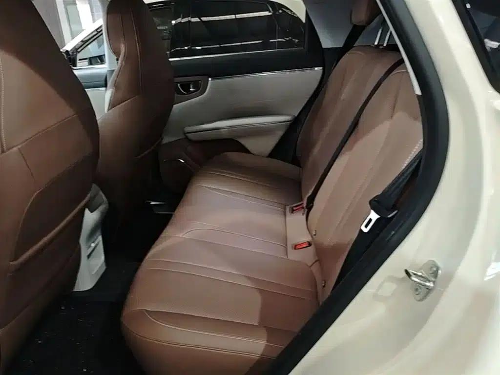 Bingo S 2025 Model 325km Premium Edition — миниатюра 17