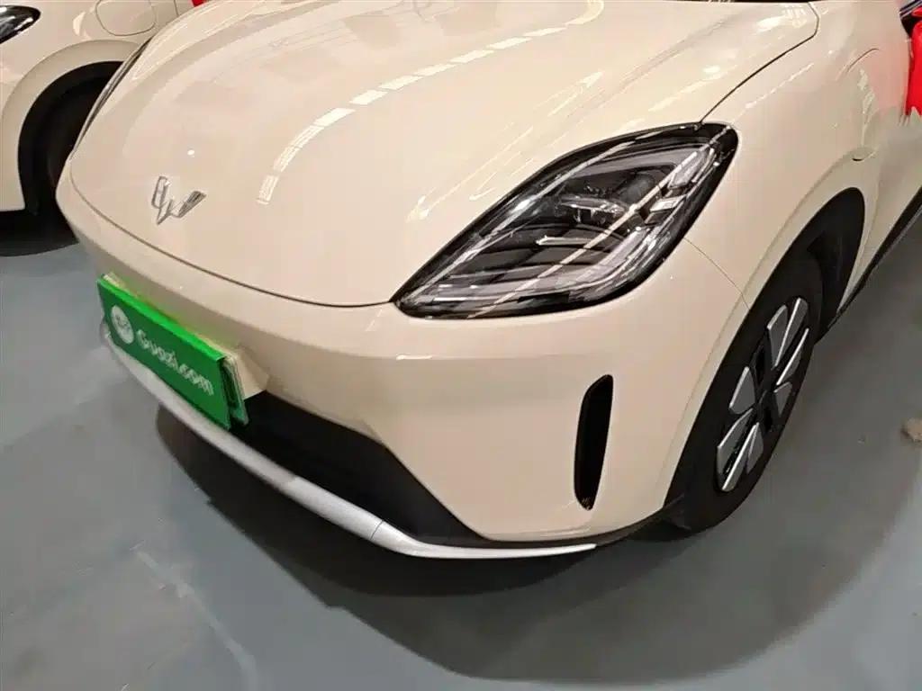Bingo S 2025 Model 325km Premium Edition — миниатюра 24