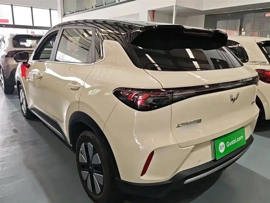 Bingo S 2025 Model 325km Premium Edition — миниатюра 5