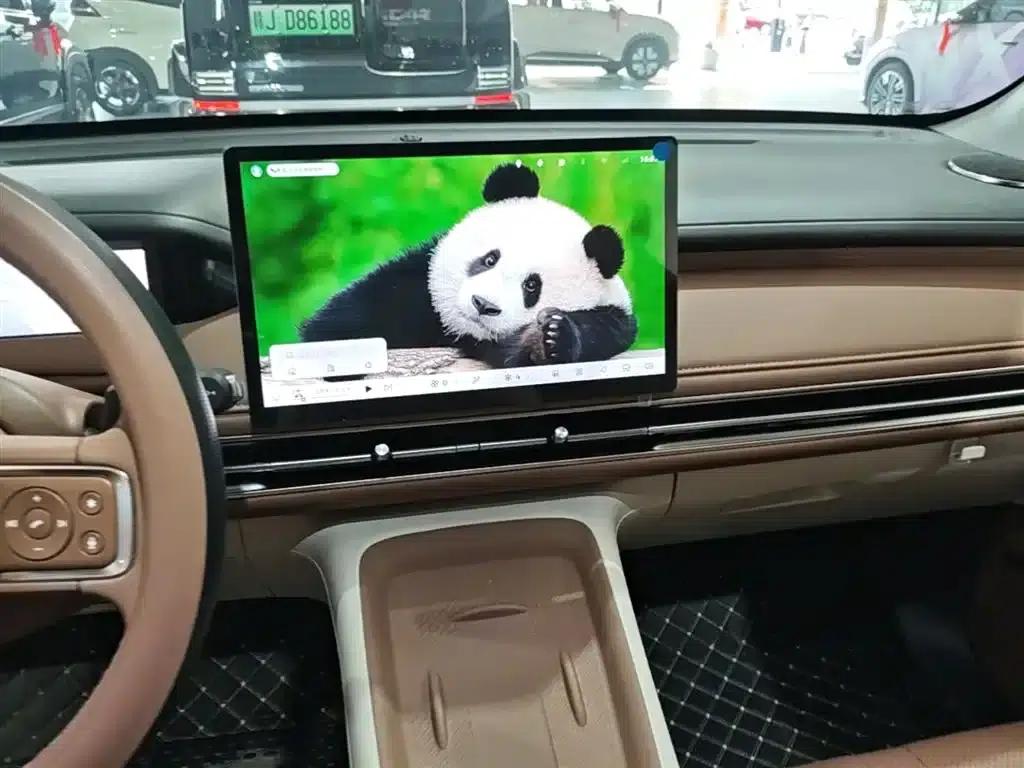 Bingo S 2025 Model 325km Premium Edition — миниатюра 13