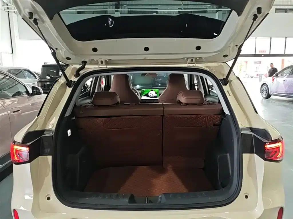 Bingo S 2025 Model 325km Premium Edition — миниатюра 19