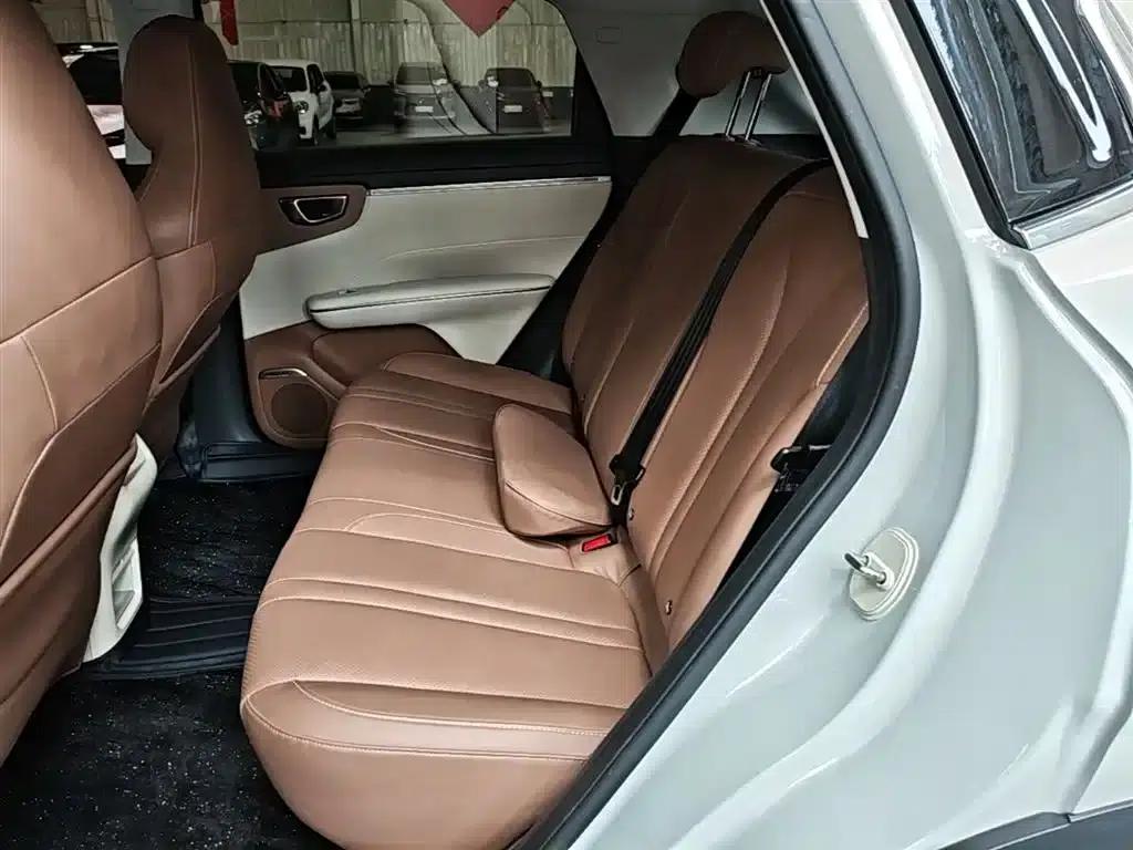 Bingo S 2025 Model 325km Premium Edition — миниатюра 17