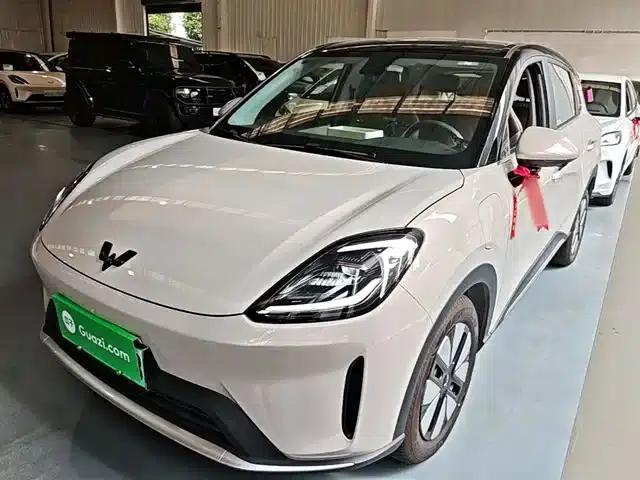 Bingo S 2025 Model 325km Premium Edition