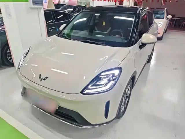 Bingo S 2025 Flagship Model 430km