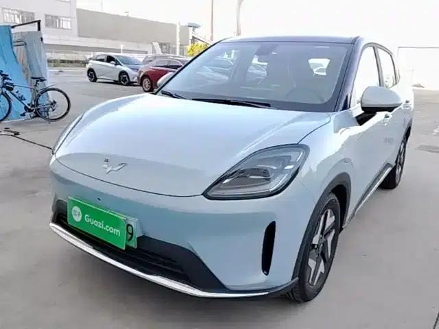 Bingo S 2025 Flagship Model 430km