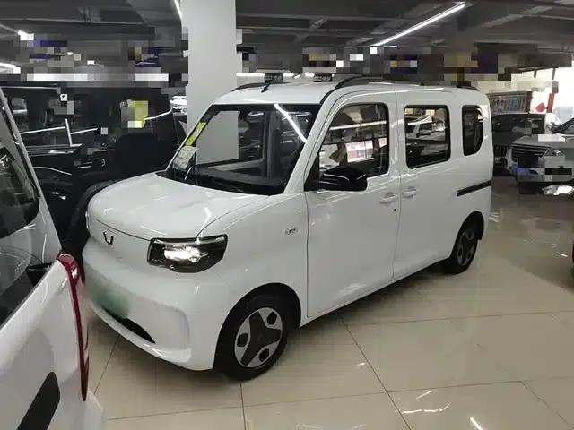 Wuling Sunshine New Energy 2025 Model 305km/h Progressive Edition