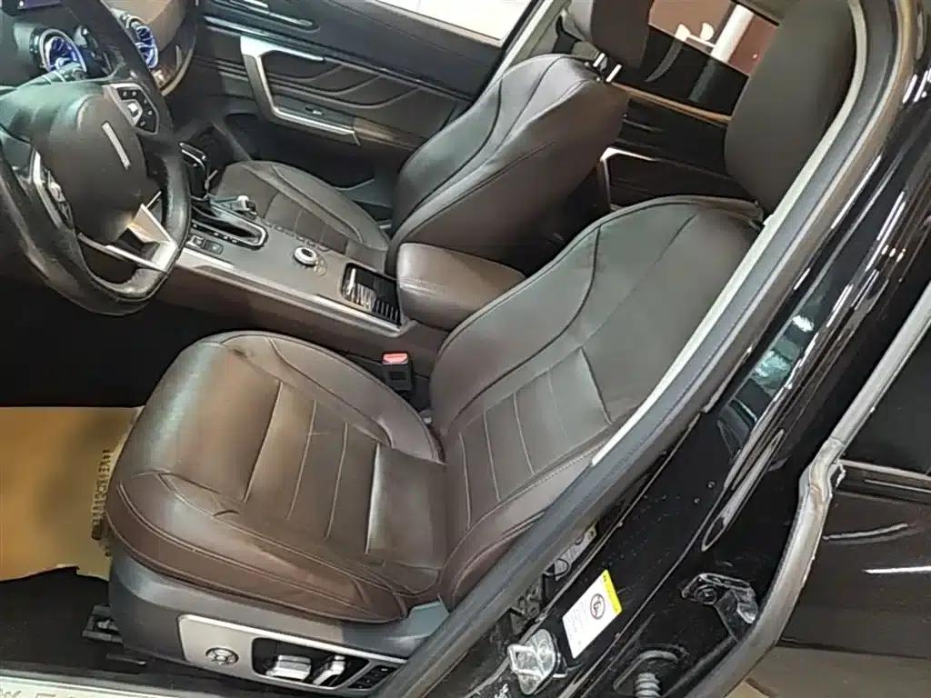 Wey VV5 2019 Upgraded Model 2.0T Two-Wheel Drive Flagship Edition (National V Emission Standard) — миниатюра 15