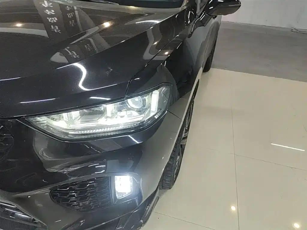 Wey VV5 2019 Upgraded Model 2.0T Two-Wheel Drive Flagship Edition (National V Emission Standard) — миниатюра 24