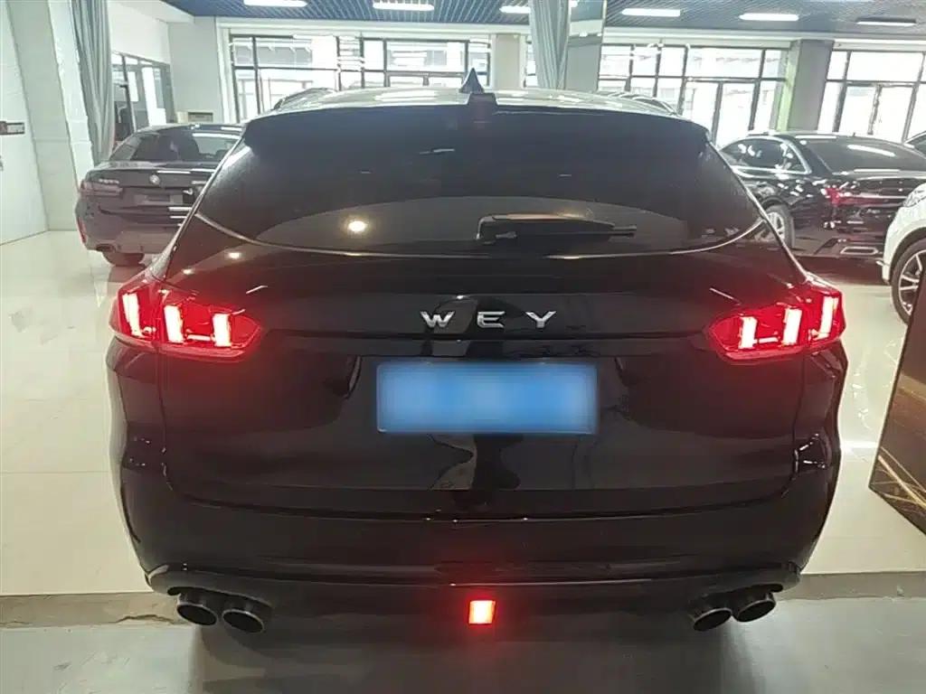 Wey VV5 2019 Upgraded Model 2.0T Two-Wheel Drive Flagship Edition (National V Emission Standard) — миниатюра 6