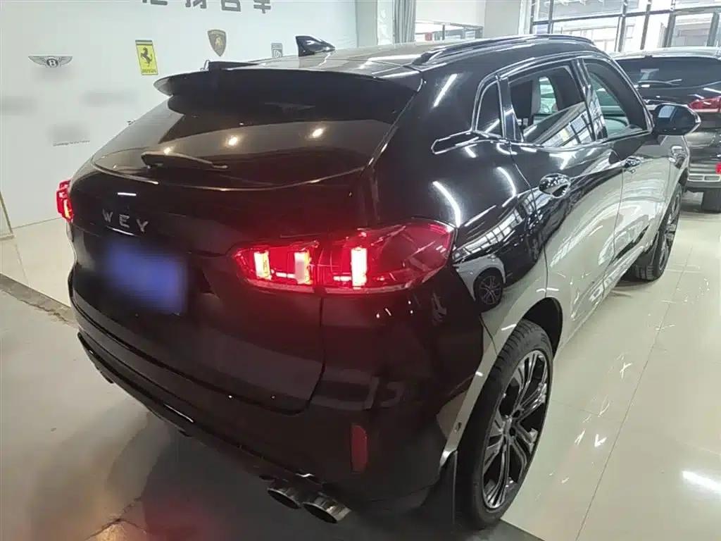 Wey VV5 2019 Upgraded Model 2.0T Two-Wheel Drive Flagship Edition (National V Emission Standard) — миниатюра 7