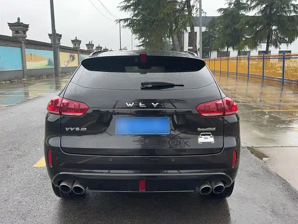 Weipai VV5 2017 2.0T Flagship Edition — миниатюра 11
