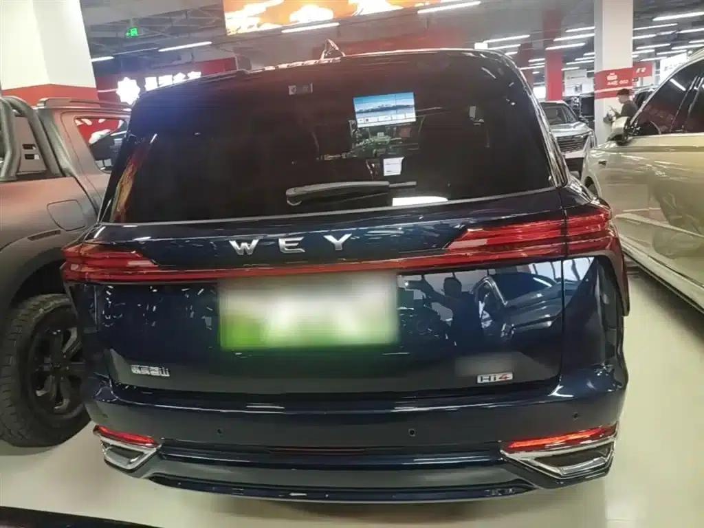 Weipai Blue Mountain 2025 4WD Max — миниатюра 6