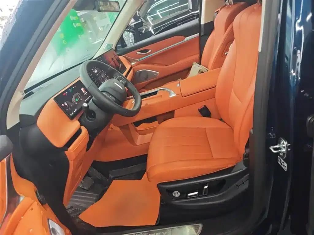 Weipai Blue Mountain 2025 4WD Max — миниатюра 15
