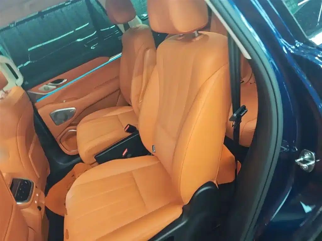 Weipai Blue Mountain 2025 4WD Max — миниатюра 17