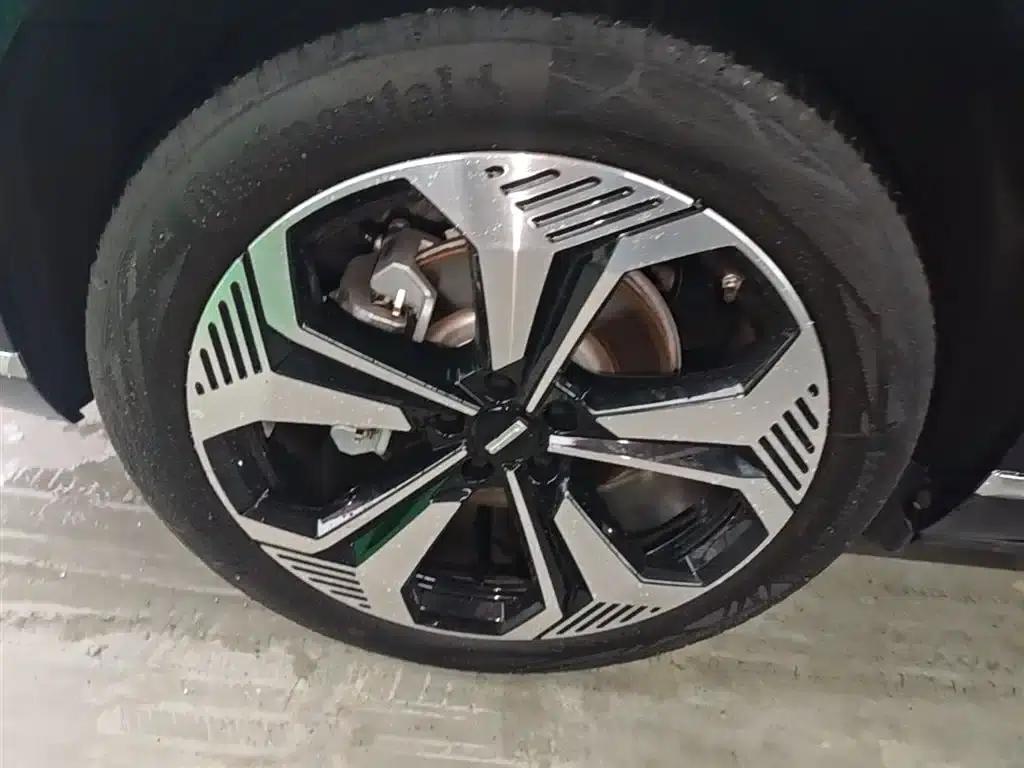 Weipai Blue Mountain 2025 4WD Max — миниатюра 23