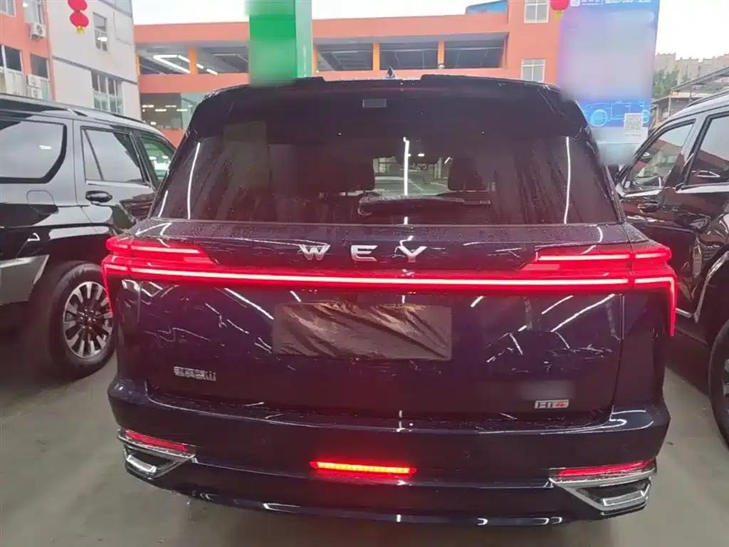 Weipai Blue Mountain 2025 4WD Max — миниатюра 6