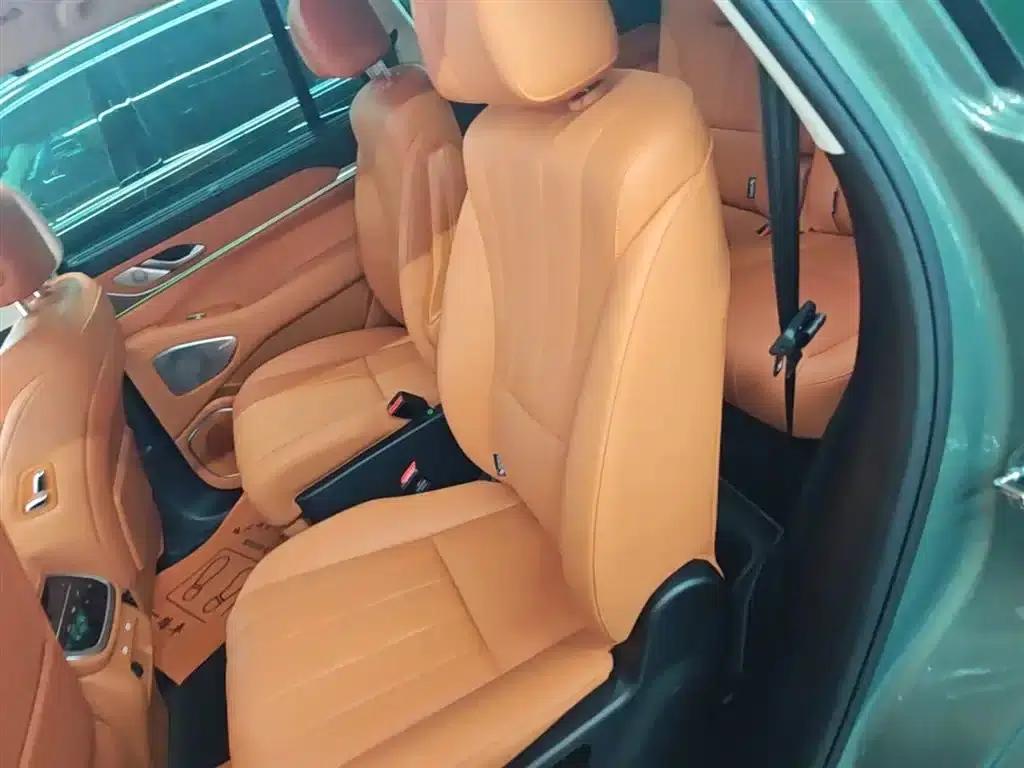 Weipai Blue Mountain 2025 Four-Wheel Drive Ultra — миниатюра 17