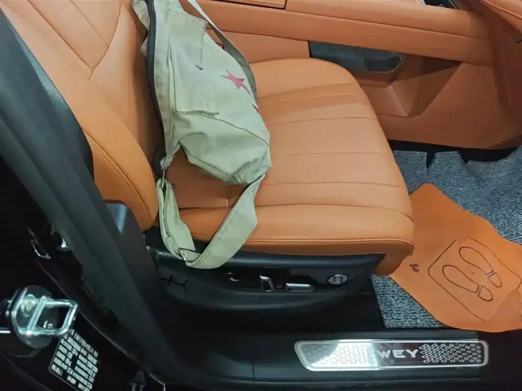 Weipai Blue Mountain 2025 Four-Wheel Drive Ultra — миниатюра 25