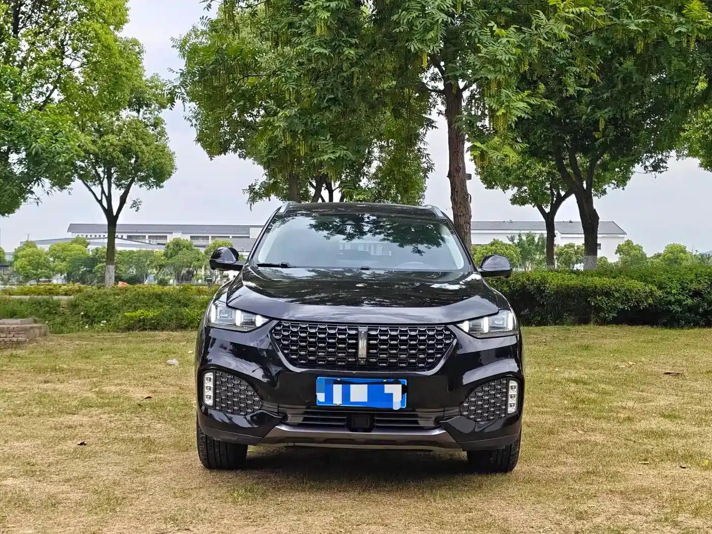 Weipai VV6 2020 2.0T 2WD Smart Protection+ — миниатюра 2