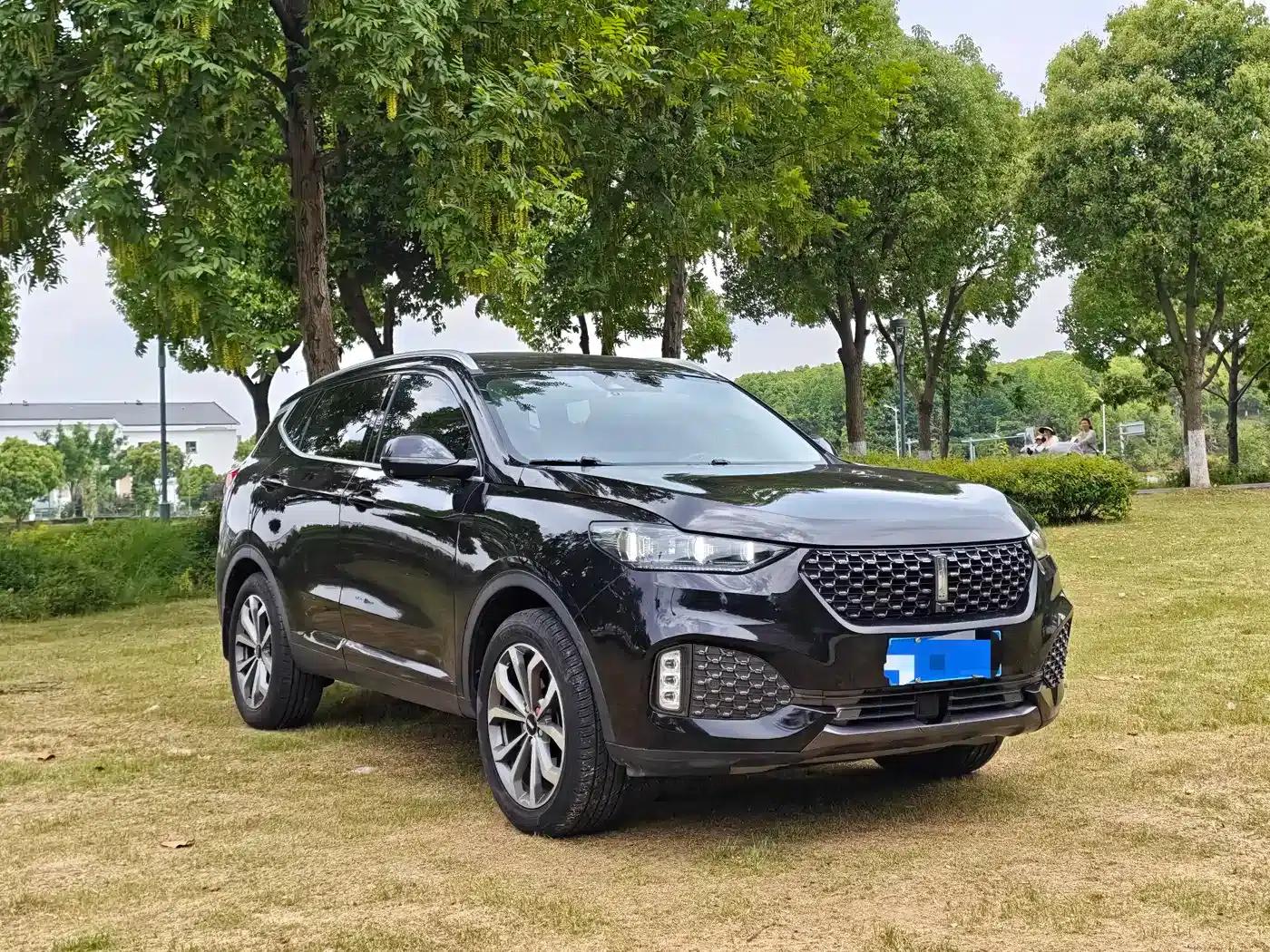 Weipai VV6 2020 2.0T 2WD Smart Protection+ — миниатюра 3