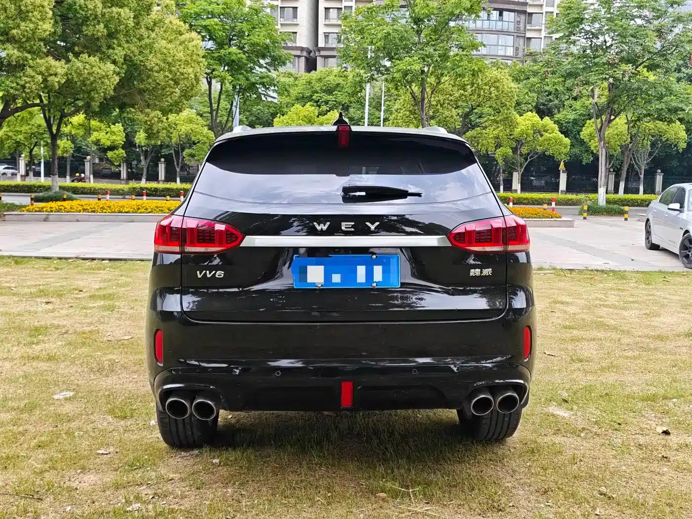 Weipai VV6 2020 2.0T 2WD Smart Protection+ — миниатюра 6