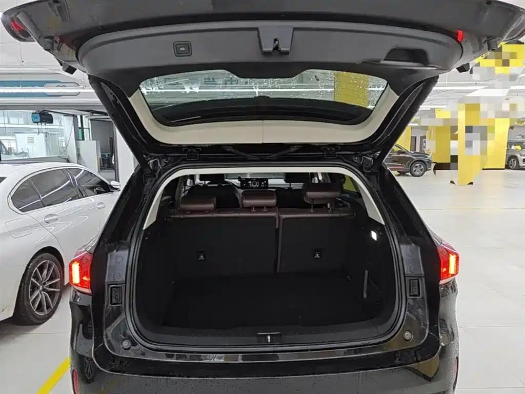 Weipai VV6 2020 2.0T 2WD Smart Protection+ — миниатюра 19