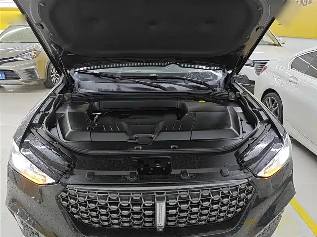 Weipai VV6 2020 2.0T 2WD Smart Protection+ — миниатюра 20