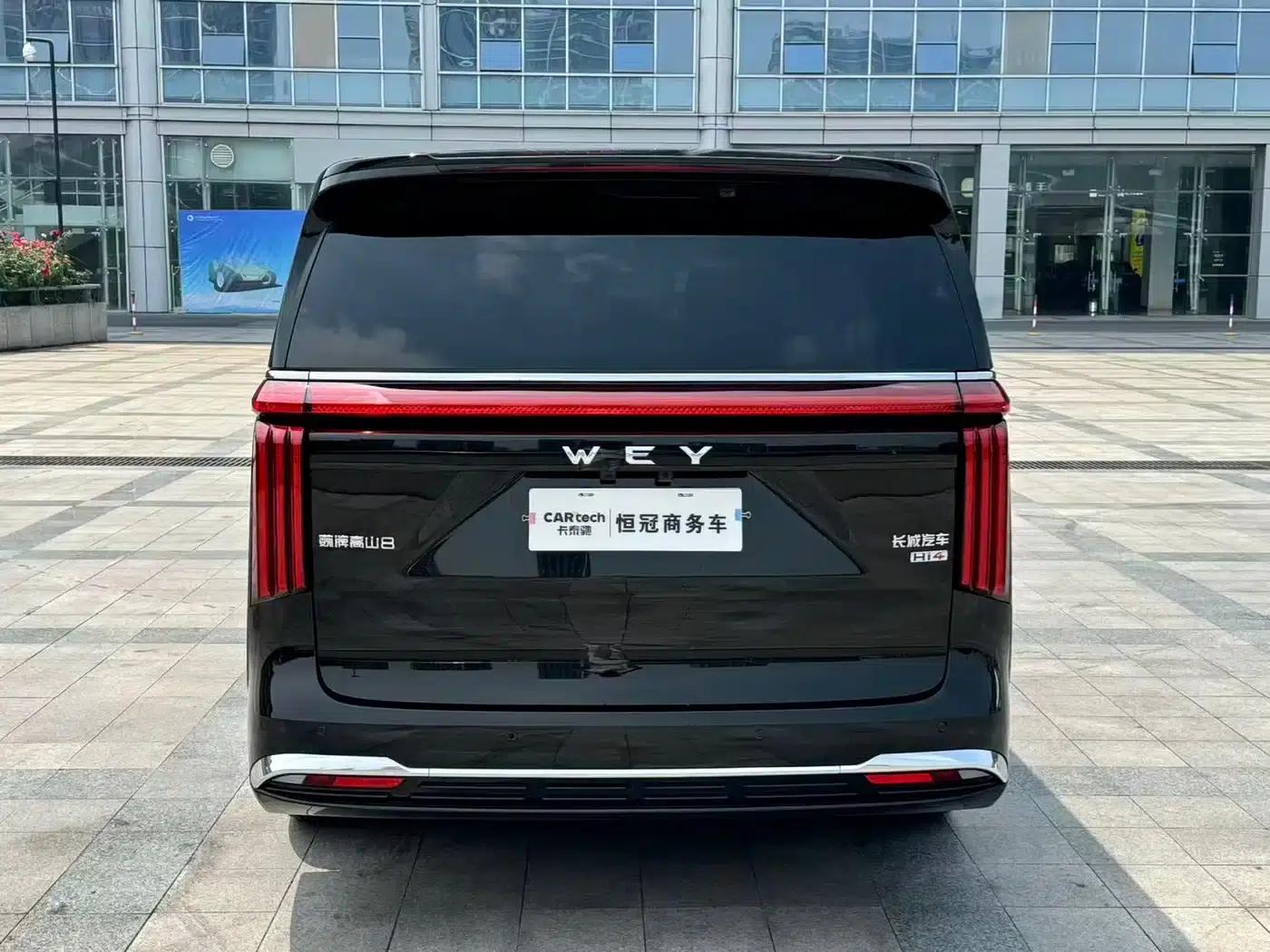 Weipai Gaoshan 2025 Model 4WD Gaoshan 8 — миниатюра 6