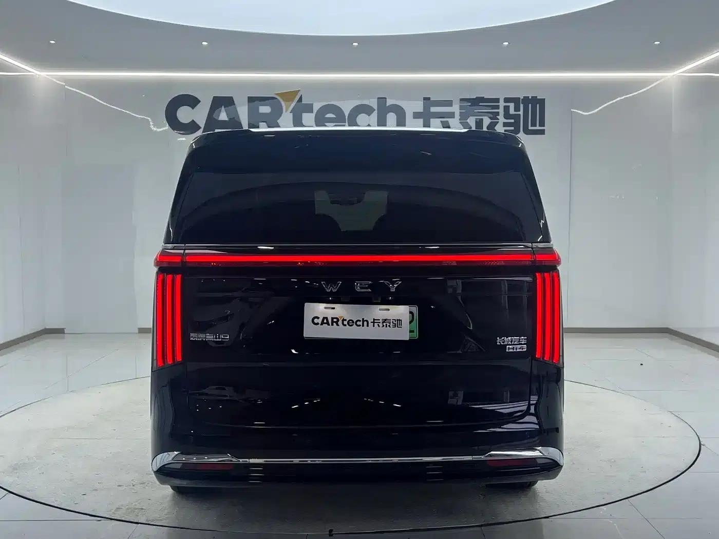Weipai Gaoshan 2025 Model 4WD Gaoshan 9 — миниатюра 14