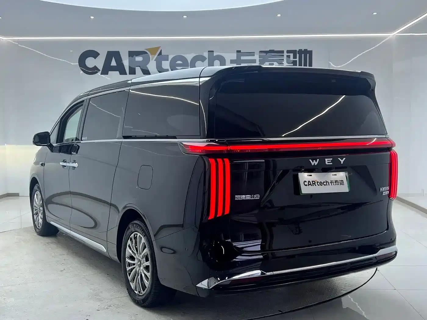 Weipai Gaoshan 2025 Model 4WD Gaoshan 9 — миниатюра 3