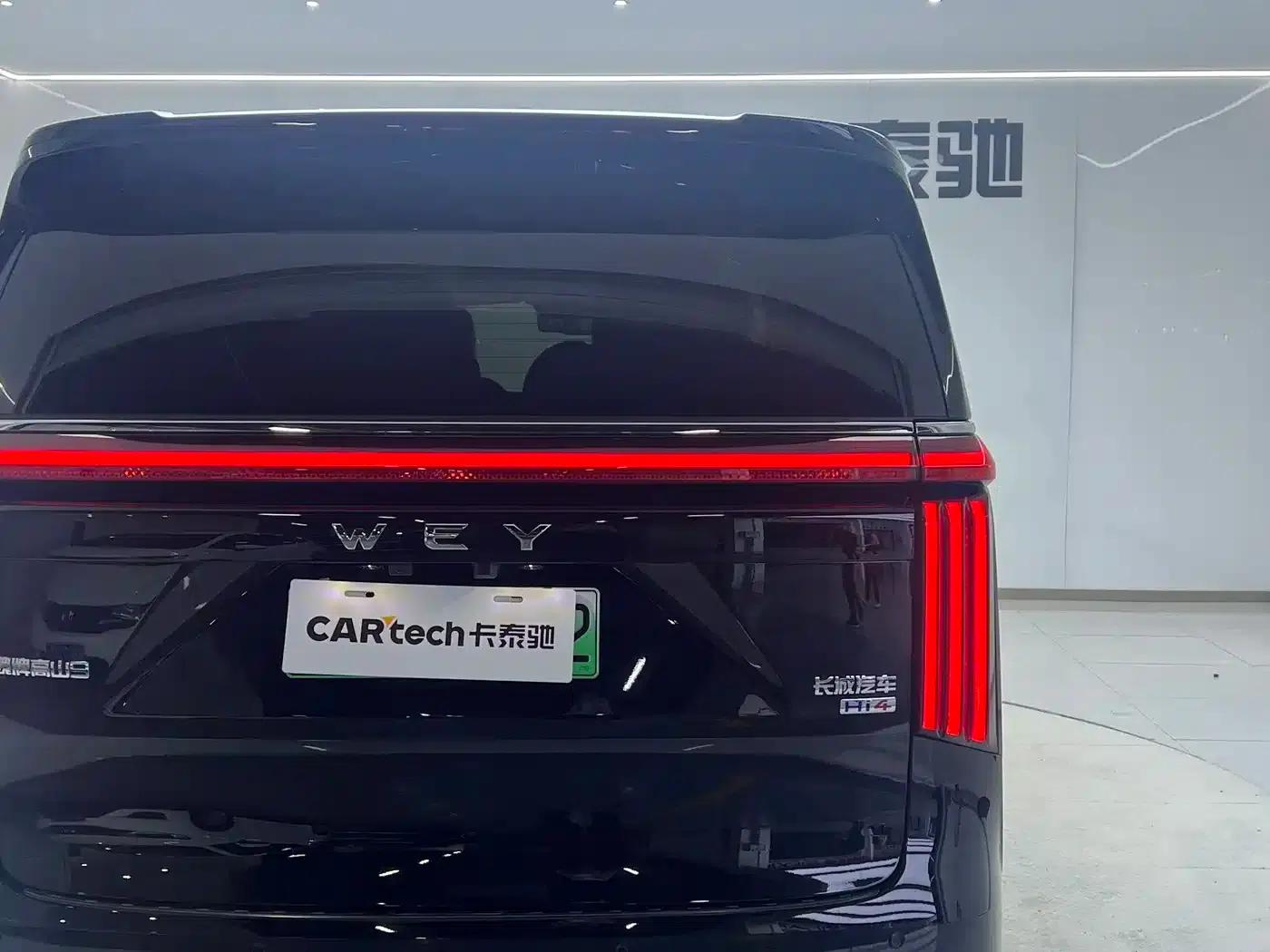 Weipai Gaoshan 2025 Model 4WD Gaoshan 9 — миниатюра 24